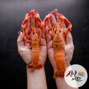 후포리수산물마트 | 부산홍게배달 고퀄리티 상품만으로 고객의 식탁에 올려드립니다. 딱새우 붉은홍게 고등어 전복등 (도매...