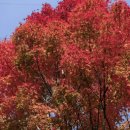 뚜레쥬르부산남천점 이미지