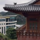 한원 이미지