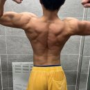 더헬스 앤 피티 이미지