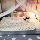 쁘띠샤방 이미지