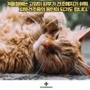 가평동물병원 이미지