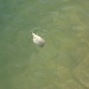 구만리낚시터 이미지