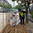 구봉초교병설유치원 이미지