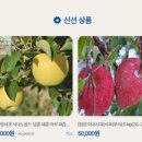 원더몰