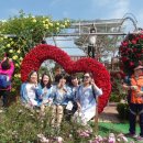 돌실회관 이미지