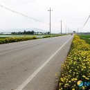 국도45호 삽교덕산 이미지