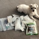 수동물메디컬센터 이미지