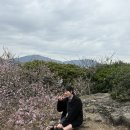 청담동피부과 바디인모드 지방분해주사 효과 내돈내산 후기