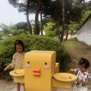 이천시 유아숲체험원 이미지