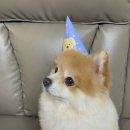 사랑해요동물병원 이미지