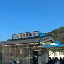 강진-2 | 전남 강진 가을여행 코스 추천 🍁 갈대축제 + 맛집 설성식당 솔직후기