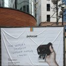 하나리프트 | 필름 로그 서울 (폴라로이드 에멀전 리프트) 워크숍 후기 | 세상에 단 하나뿐인 사진 만들기 체험 추천👍