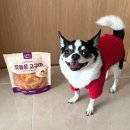 [예스몽 | 강아지간식] 달달한 예스몽 고구마간식 후기