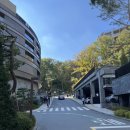 회원동114 이미지