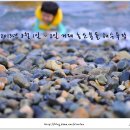농소목장 Daum카페