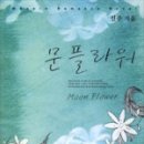 문플라워 - 미추홀구 낙섬중로 29 | 문플라워
