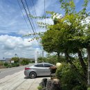 사계의들녘 | [아산 맛집] '사계의 들녘', 둔포 수제돈까스 맛집! 고즈넉한 풍경은 덤!