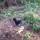 원스농장 이미지