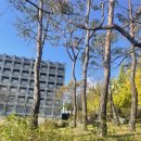 명지대학교 | 용인 명지대학교 러닝후기.