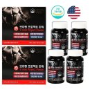 에버그린 이미지