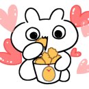 커피벨트 이미지