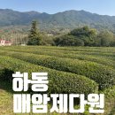 GR(하동군)-[악양서로]-상-2 | [하동] 차 한 잔의 여유, 매암제다원