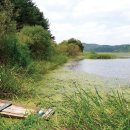 마지막커피 이미지