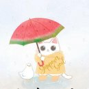 하나마트 이미지