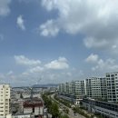 단하나피티 이미지