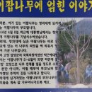 가창초등학교 이미지