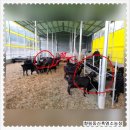 향림동산(흑염소농장) 이미지