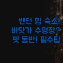 B모텔 | 밴던 호텔 모텔 | 바닷가 수영장 힙한 스타일 숙소...올드 타운 접근성 | 실제 경험 바탕 솔직 후기 정리