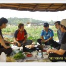 용마 농장 이미지