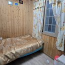 고궁모텔 | 제주도 성산 숙소 고궁펜션형게스트하우스 후기 (1인실, 고궁보말손칼국수 조식)
