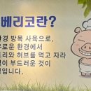 통큰9292 이미지