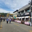 완산-13 | 전주 완산칠봉꽃동산 만개 주차 버스 코스