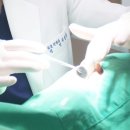 이앤유치과 네이버블로그