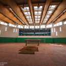 차원목장 이미지