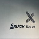 엑시토 골프 이미지