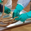 학정마을 이미지