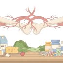 비타민K2 효능, 칼슘 흡수 돕고 석회화 막는 뼈 건강 짝꿍 이미지