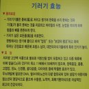 돼지촌나라 이미지