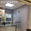 고은동물병원 - 사상구 모라로 107 | 고은동물병원