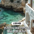 자인공단카서비스 | 마요르카 렌터카 준비, 국제운전면허증 온라인 발급 방법 발급 수령 기간