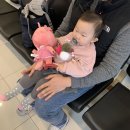 비에스코아이비인후과의원 이미지