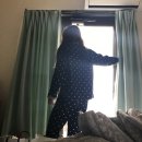 오션빌리지 104 이미지