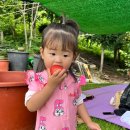 지아농장 이미지