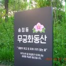 초지 359 이미지