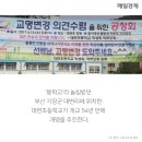야동초 이미지